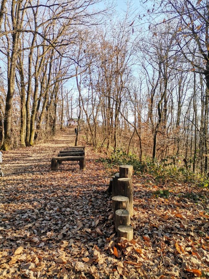 Počitniška hiša Garden Station *